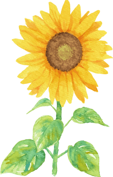 花のイラスト