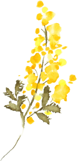 花のイラスト